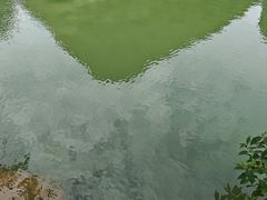 -靖西鹅泉风景区