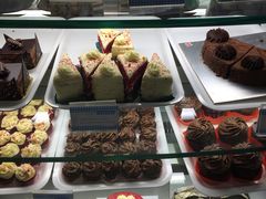 -贾特拉帕蒂·希瓦吉国际机场