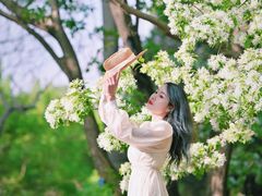 -北京植物园南门售票处