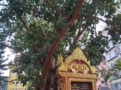 -勐旺傣香园