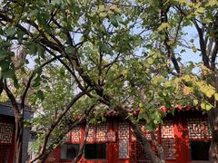 -北京鲁迅博物馆(北京新文化运动纪念馆鲁博馆区)
