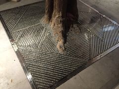 -杨小贤(武夷宫路店)