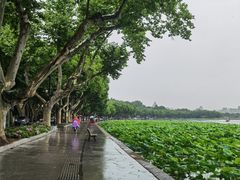 -杭州黄龙洞
