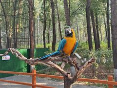 -北京野生动物园