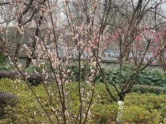 -太子山公园(园东路)
