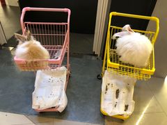 -成都失恋馆