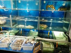 水产区-欣旺·迎宾楼·百年无锡菜