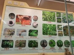 -北京中医药大学-中医药博物馆