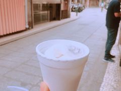 -洪馨椰子