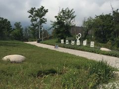 -紫云台香草园