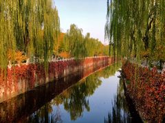 -蒙楼咖啡(清华大学蒙民伟楼店)