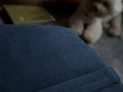 -立里春天印象·影院足疗轻养SPA(二十四城店)