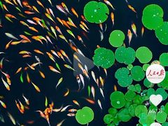 -昆山城市生态森林公园