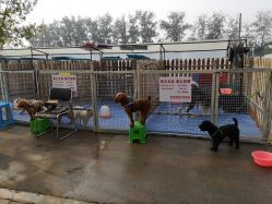 -萌宠亲子动物乐园(槐房万达店)