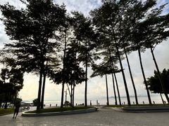-深圳湾公园(南山区)