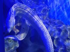 -石林冰雪海洋世界