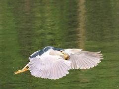 -重庆彩云湖湿地公园