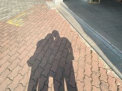 -大湾区中央湿地公园
