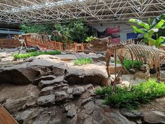 -中国第四纪冰川遗迹陈列馆