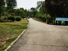 -白鹭湾湿地公园