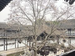 -扬派·扬州搓背馆(运河旗舰店)