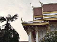 -洛阳白马寺