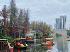 -荔湾湖公园
