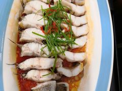 -天天鱼港·海鲜·鲅鱼水饺·招牌烤鸭(黄骅店)