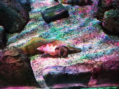 -沈阳海洋探索中心