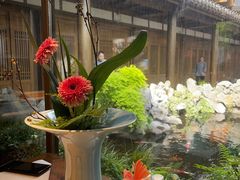 -鲤院·新中式美学·庭院餐厅(夫子庙店)