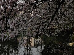-棠湖公园