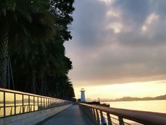 -深圳湾公园(南山区)