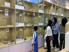 -屋虎猫馆(宝安大仟里店)