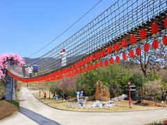 游乐设施-天适樱花悠乐园