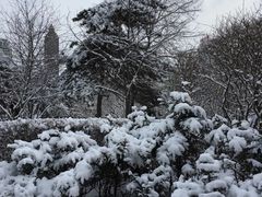 -人民防洪胜利纪念塔