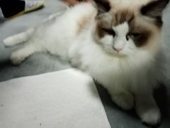 -零纪元VR体验馆·桌游(黄浦店)