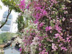 -深圳国际园林花卉博览园