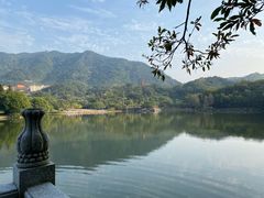 -深圳仙湖植物园