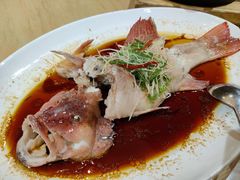 清蒸东星斑-德胜轩正宗顺德菜(宝安沙井会展中心店)