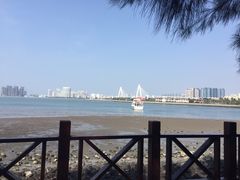 -万绿园