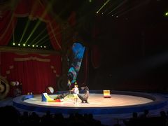 -珠海横琴长隆《卡卡虎奇遇记》