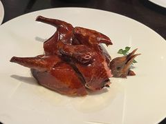 -甄御•海鲜新青岛菜(麦岛店)