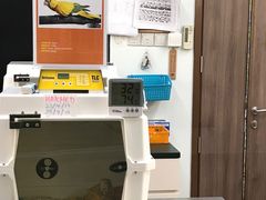-新加坡飞禽公园