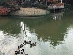 景观位-杭州西子湖四季酒店·金沙厅