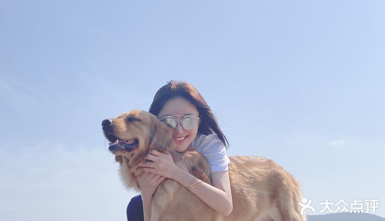 2020最后一天写给汪星人