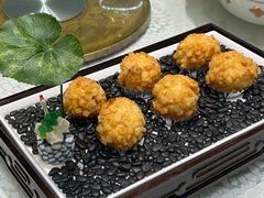 -丁老爷子苏香圆