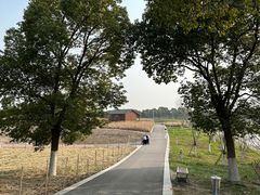 -苏州湾体育公园