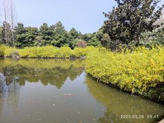 -上海滨江森林公园