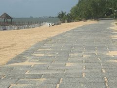 -瑶湖郊野森林公园