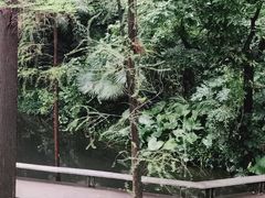 -广州兰圃